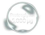 Proteoglycan 5,000 µg